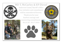 Load image into Gallery viewer, CUSTOM PLAQUE- MCCARLEY